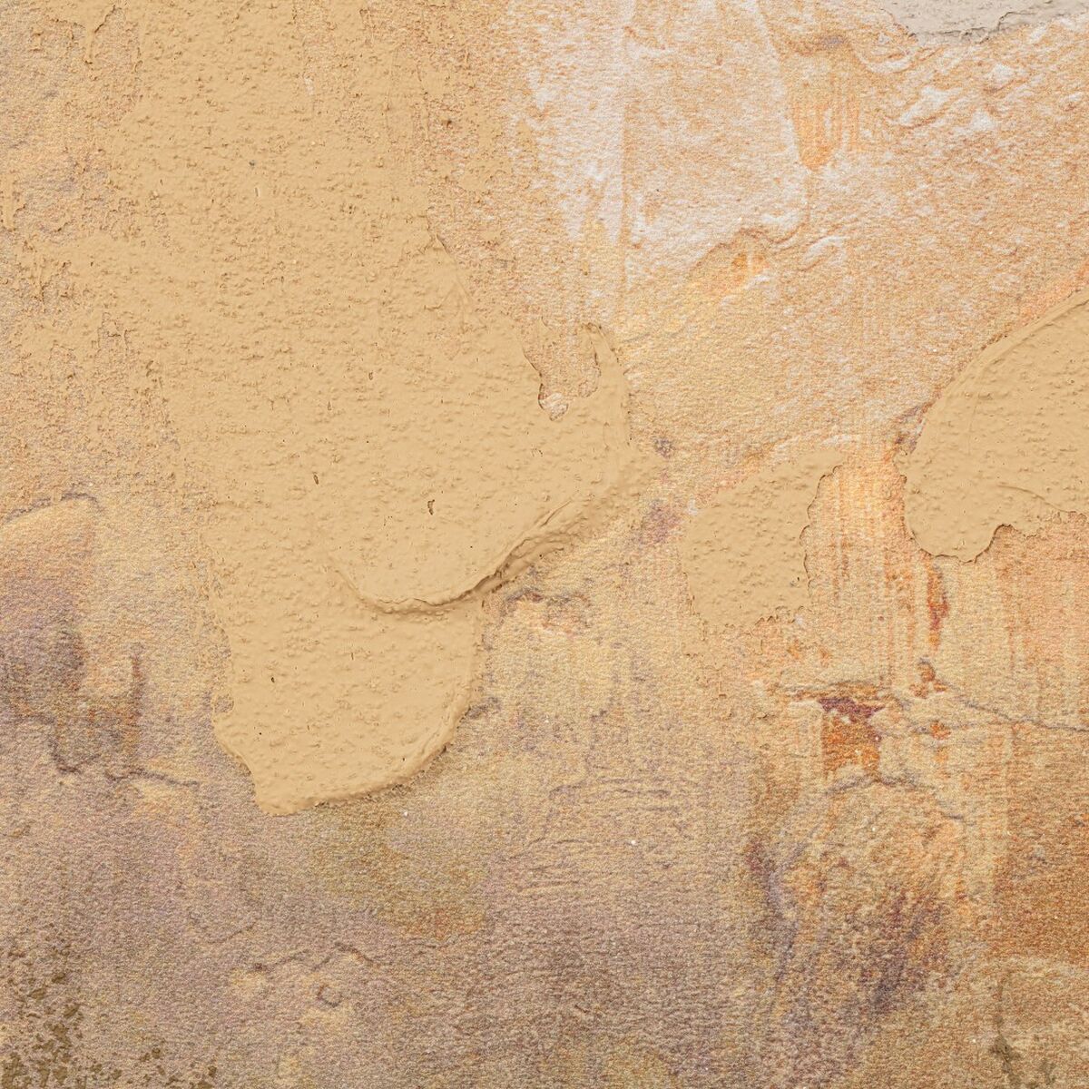 V1H4B8C2EDE3260B24B8B39A6D4EED4D1EDRP5