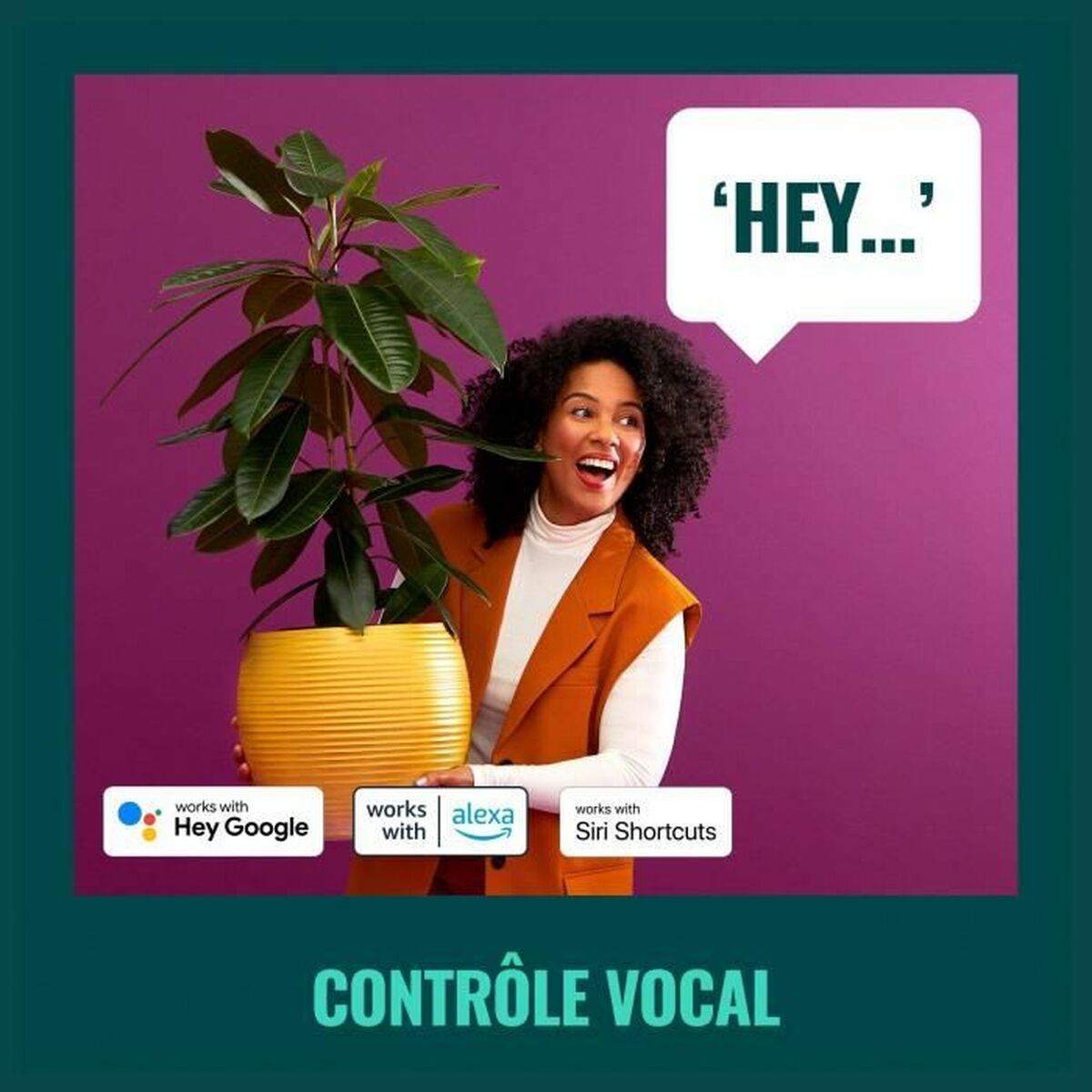 V3HEC320ABF64DC7BBD88EDAFDED386447FR4392073P5