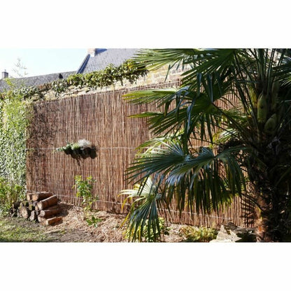 V2HECFB011C3E812DB69473B5E4B65B8B31R5781083P2