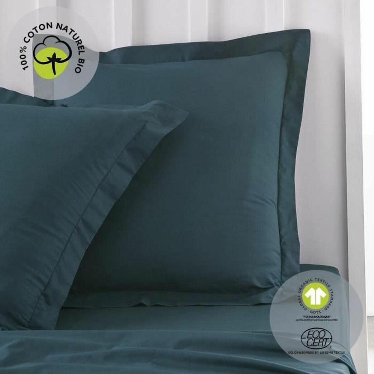 V1HAF2FEF7D9EF18C04E51515F7BE013B59RP2