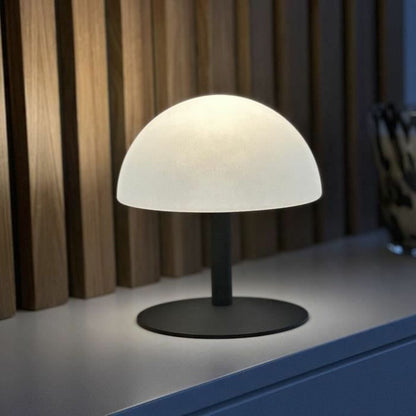Bordslampa Lumisky Neptune Rock Mörkgrå Plast finns hos Nordekko