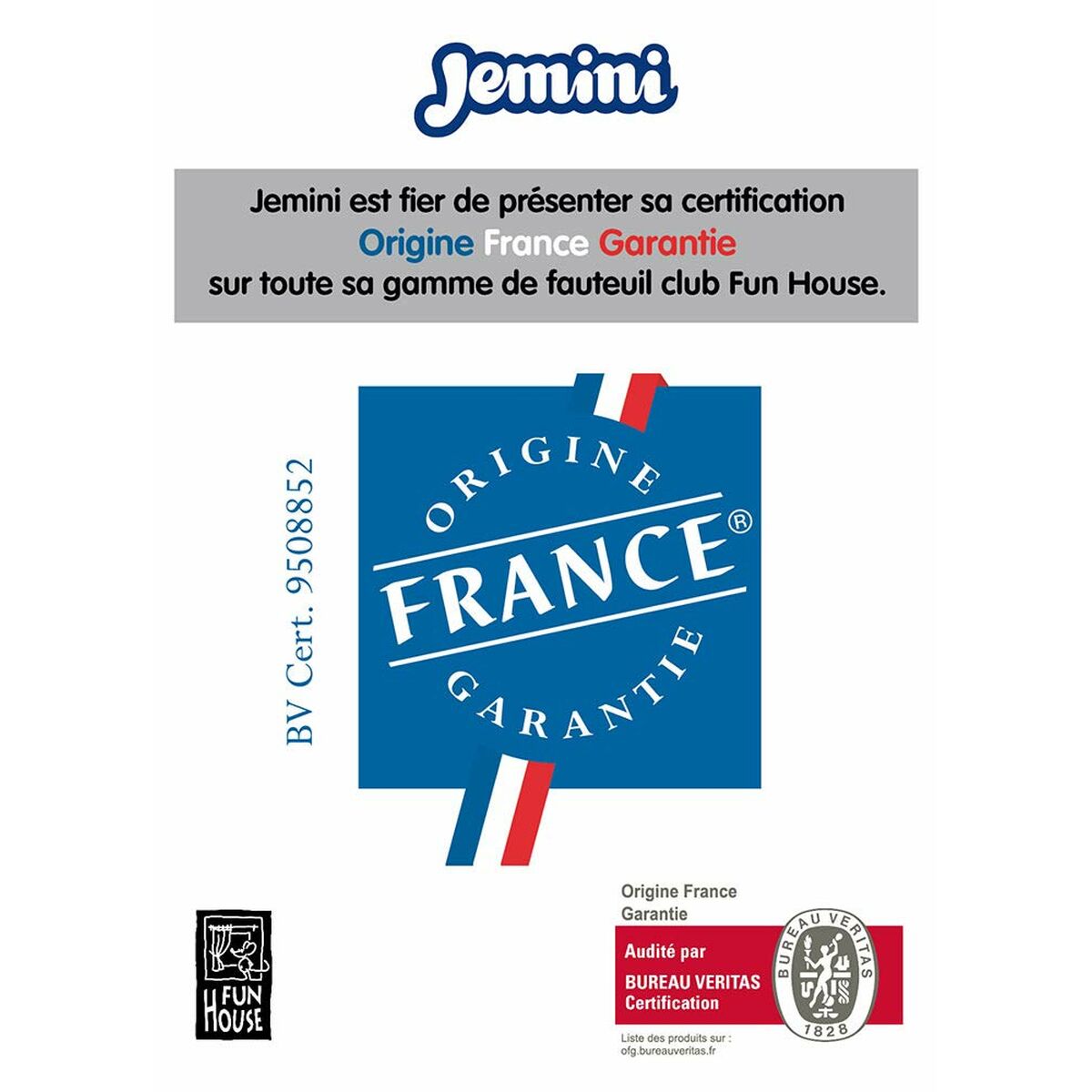 V1HF963CC4DB1FF501974956196A8B8F35BRP6