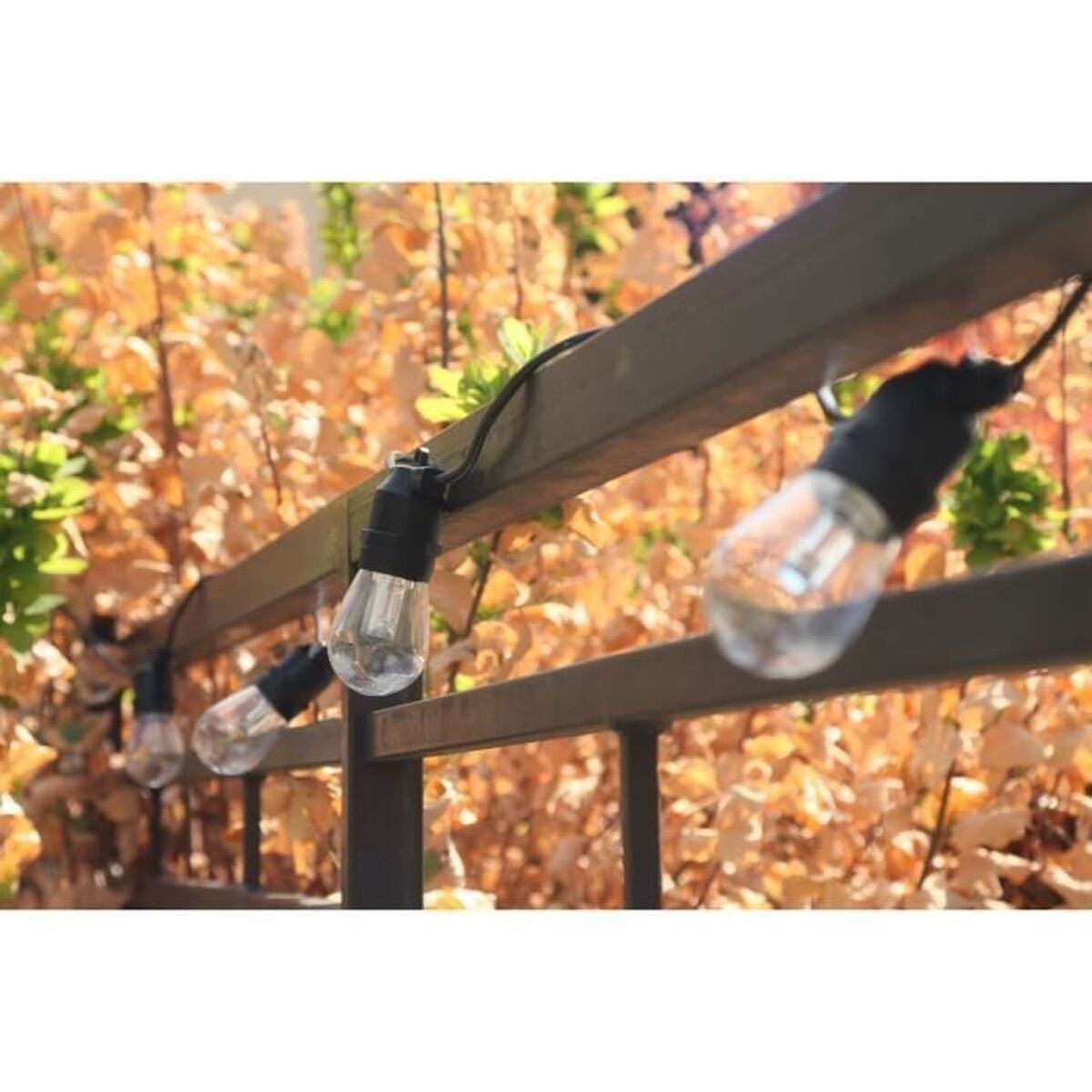 V1HC8900B063556D7CF75234418B14A7CEARP4