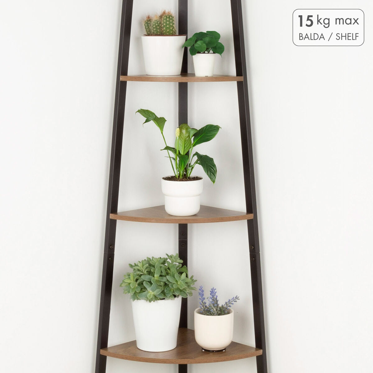 V1H89DC7F6F241E4AEEEA0D6EA648E45980RP3