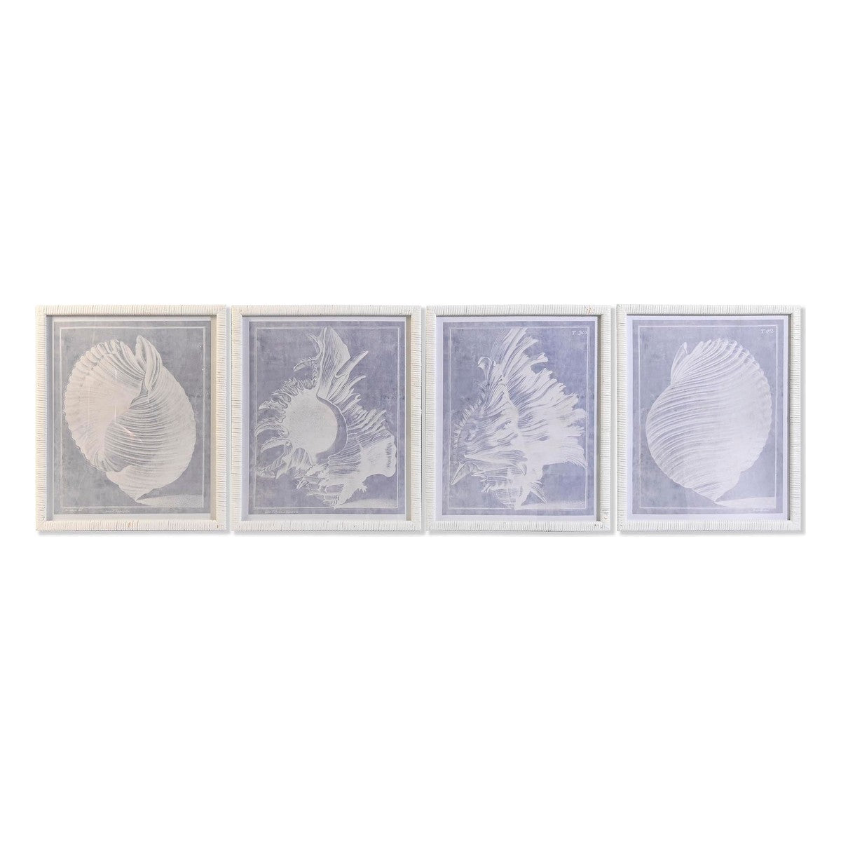 Tavla DKD Home Decor Glas Snigel 50 x 2 x 60 cm 50 x 60 x 2,5 cm (4 Delar) finns hos Nordekko