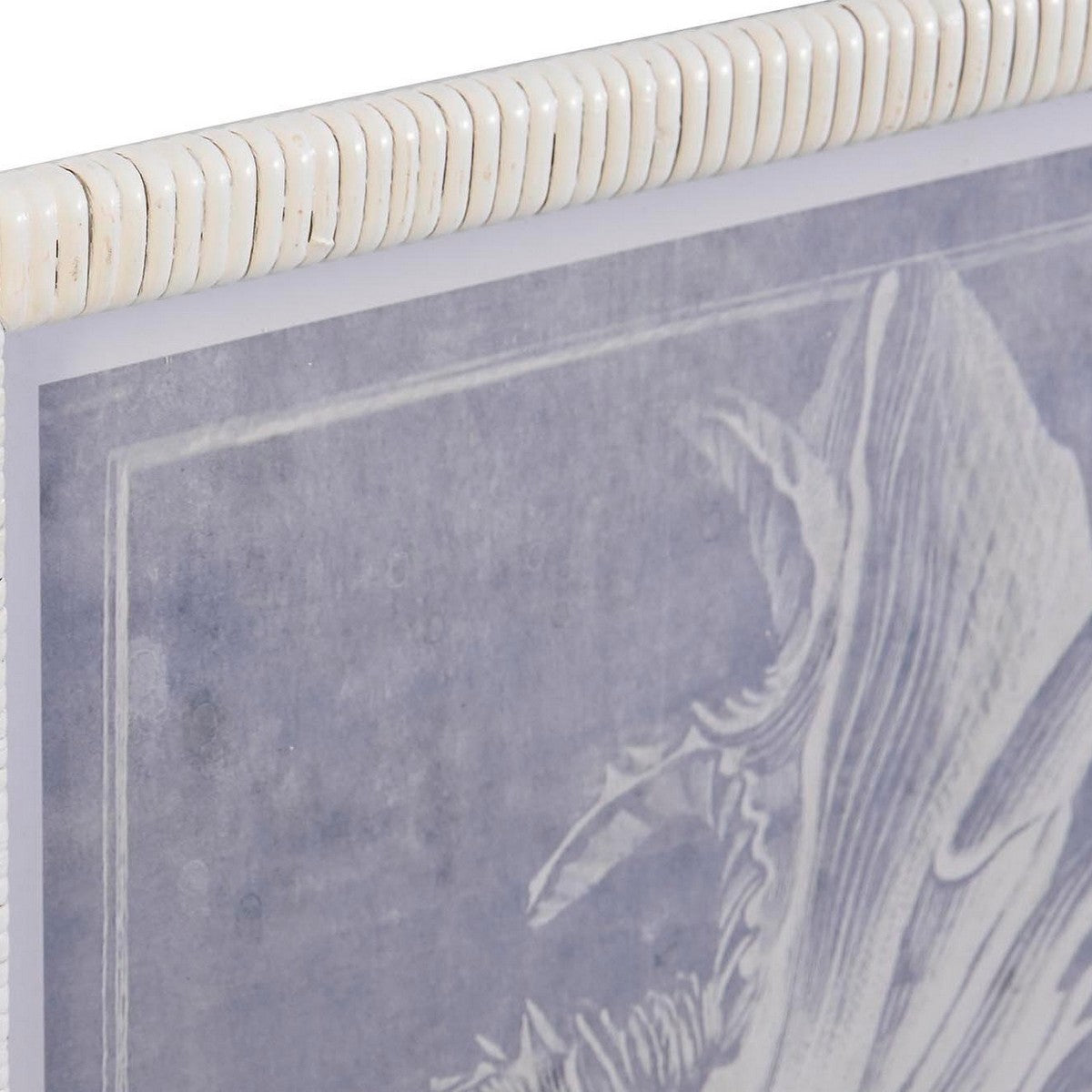 Tavla DKD Home Decor Glas Snigel 50 x 2 x 60 cm 50 x 60 x 2,5 cm (4 Delar) finns hos Nordekko