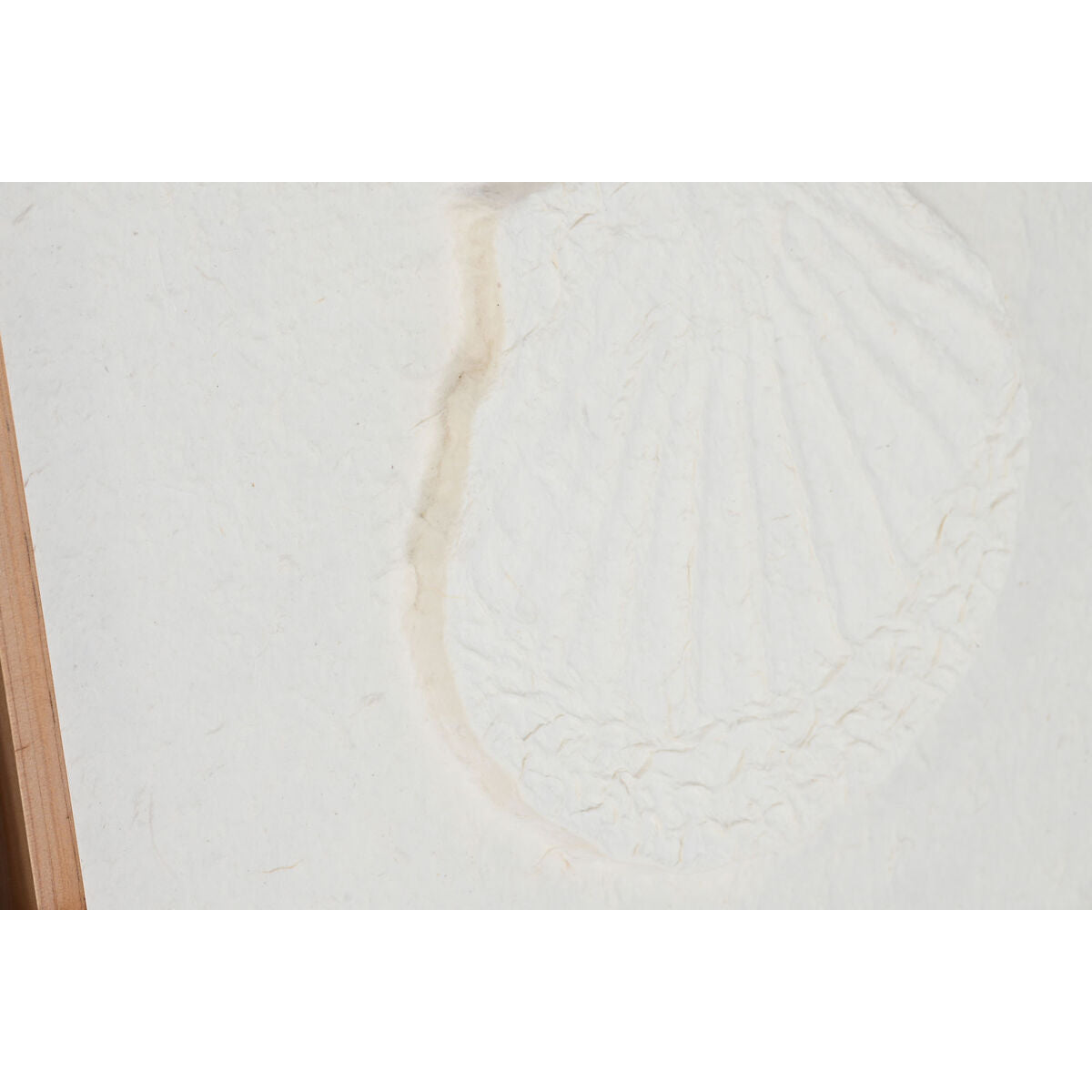 Tavla DKD Home Decor Snäckor 50 x 2 x 50 cm Medelhavs (6 Delar) finns hos Nordekko