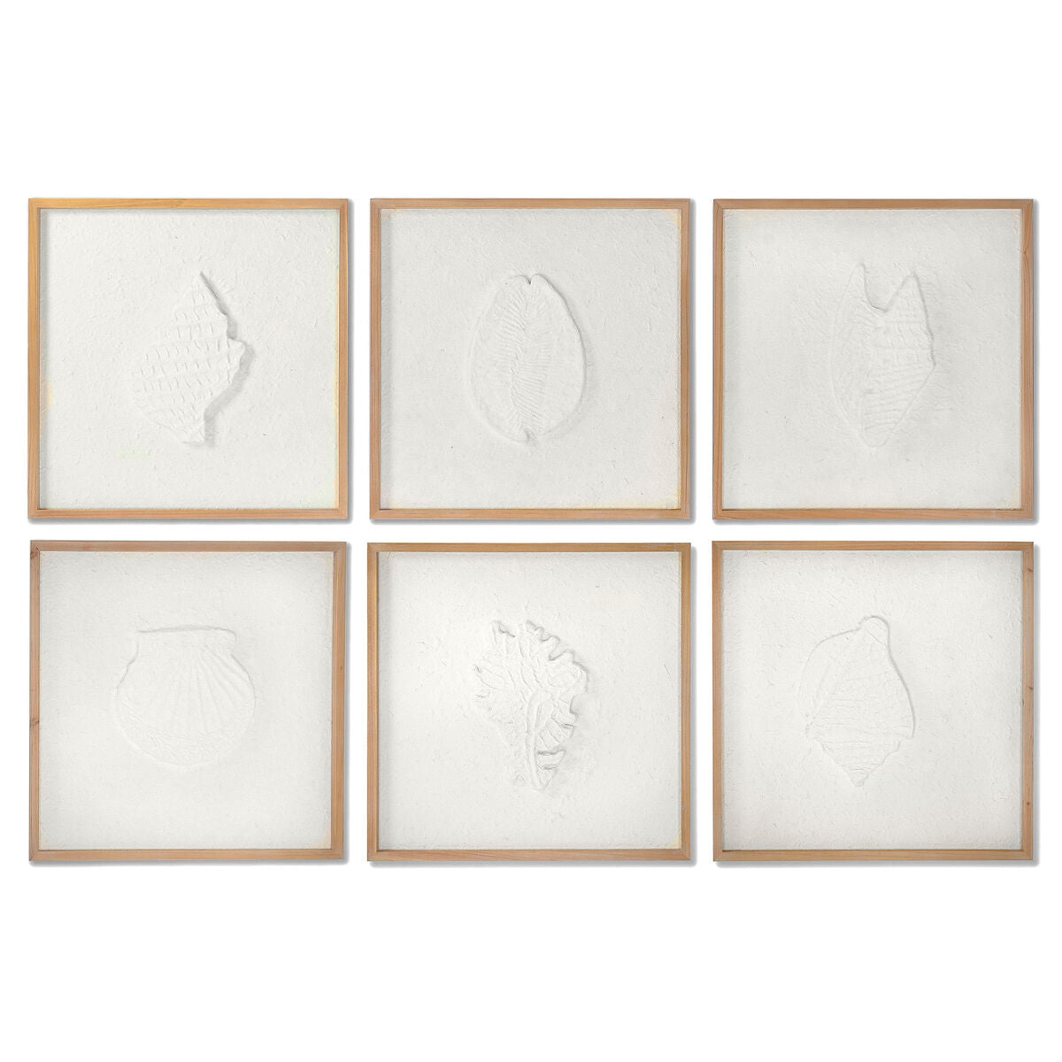Tavla DKD Home Decor Snäckor 50 x 2 x 50 cm Medelhavs (6 Delar) finns hos Nordekko