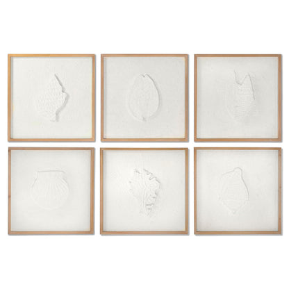 Tavla DKD Home Decor Snäckor 50 x 2 x 50 cm Medelhavs (6 Delar) finns hos Nordekko