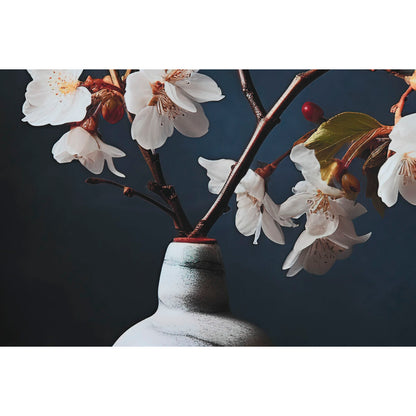 V4H0DB4D7F2C277CBDD80F0E601F06ED37CR4143640P4