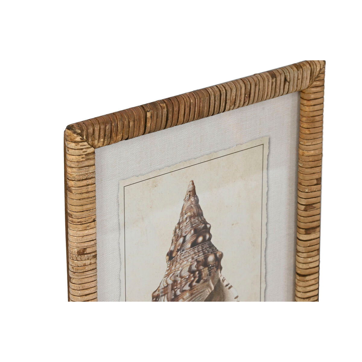 Tavla Home ESPRIT Medelhavs Snigel 30 x 2,5 x 40 cm (9 antal) finns hos Nordekko