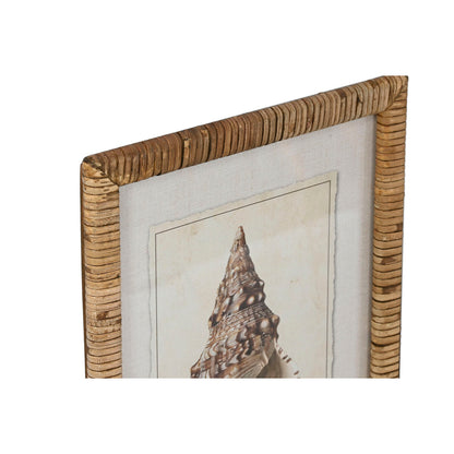 Tavla Home ESPRIT Medelhavs Snigel 30 x 2,5 x 40 cm (9 antal) finns hos Nordekko