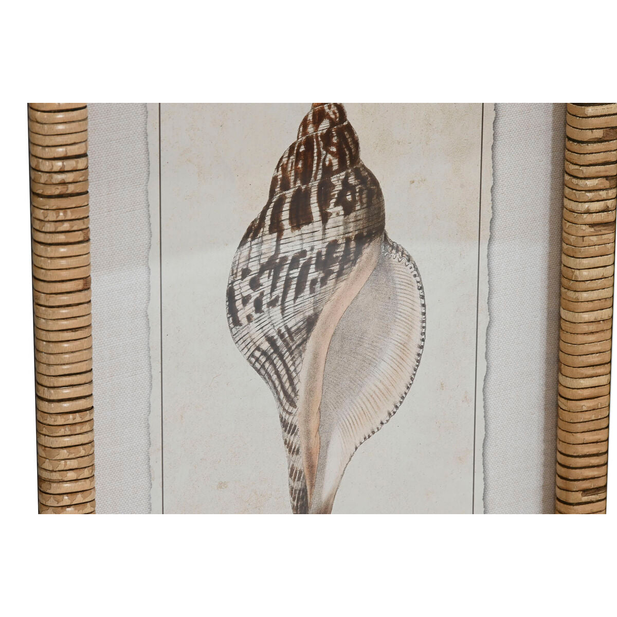 Tavla Home ESPRIT Medelhavs Snigel 30 x 2,5 x 40 cm (9 antal) finns hos Nordekko