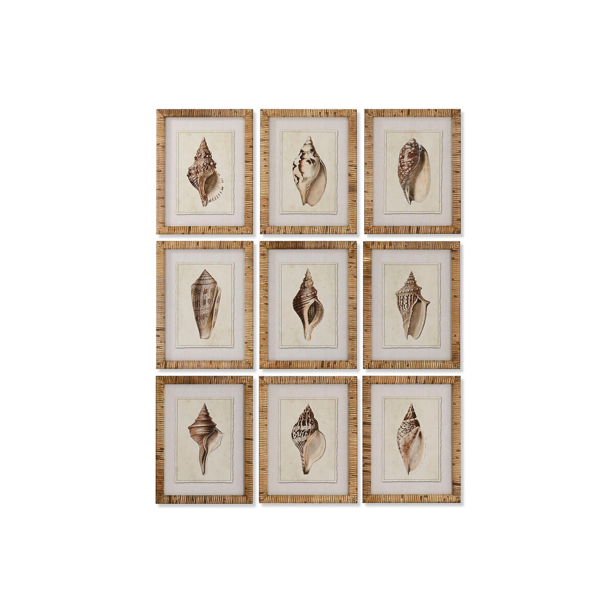 Tavla Home ESPRIT Medelhavs Snigel 30 x 2,5 x 40 cm (9 antal) finns hos Nordekko