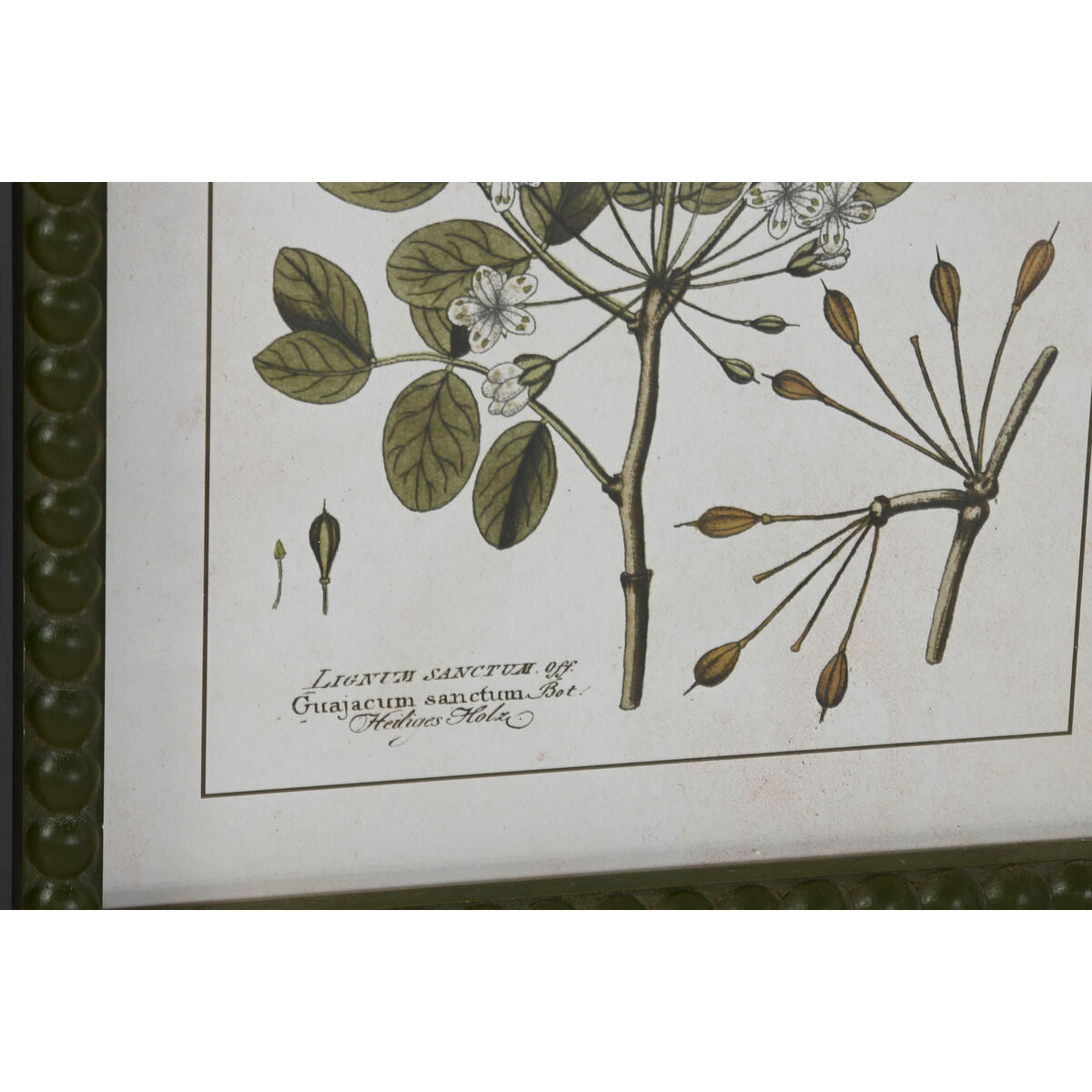 Tavla Home ESPRIT Grön Beige Shabby Chic Botaniska växter 30 x 2,5 x 40 cm (4 antal) finns hos Nordekko