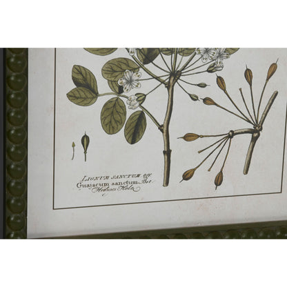 Tavla Home ESPRIT Grön Beige Shabby Chic Botaniska växter 30 x 2,5 x 40 cm (4 antal) finns hos Nordekko