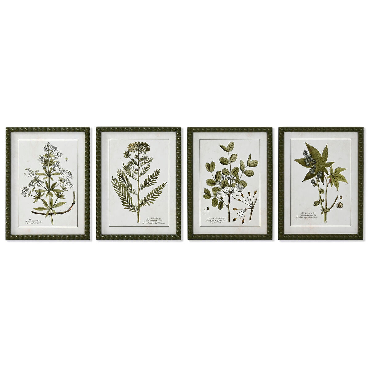 Tavla Home ESPRIT Grön Beige Shabby Chic Botaniska växter 30 x 2,5 x 40 cm (4 antal) finns hos Nordekko