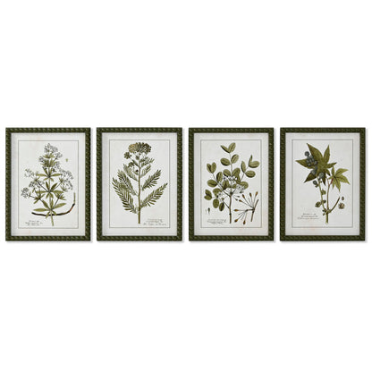 Tavla Home ESPRIT Grön Beige Shabby Chic Botaniska växter 30 x 2,5 x 40 cm (4 antal) finns hos Nordekko