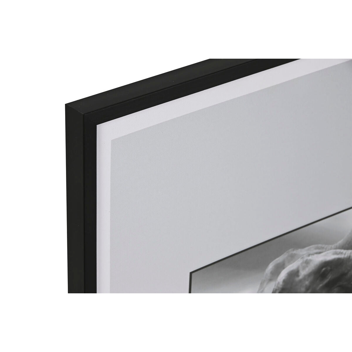 V1H1E5ED928FEBEA7A608AF4ED53528443ARP2