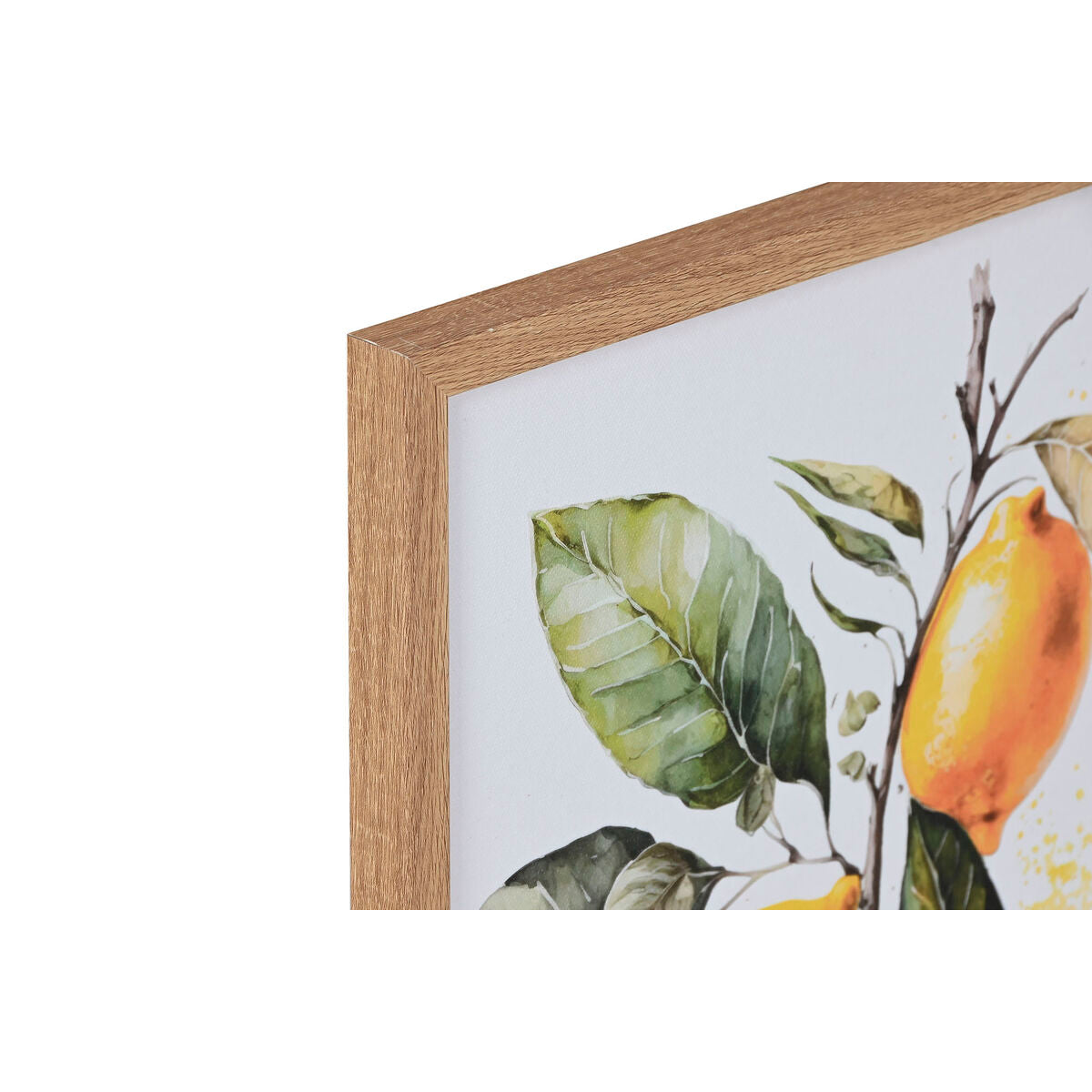 V1HCB8B50C66F73F75BC72D23C00CCC524FRP2