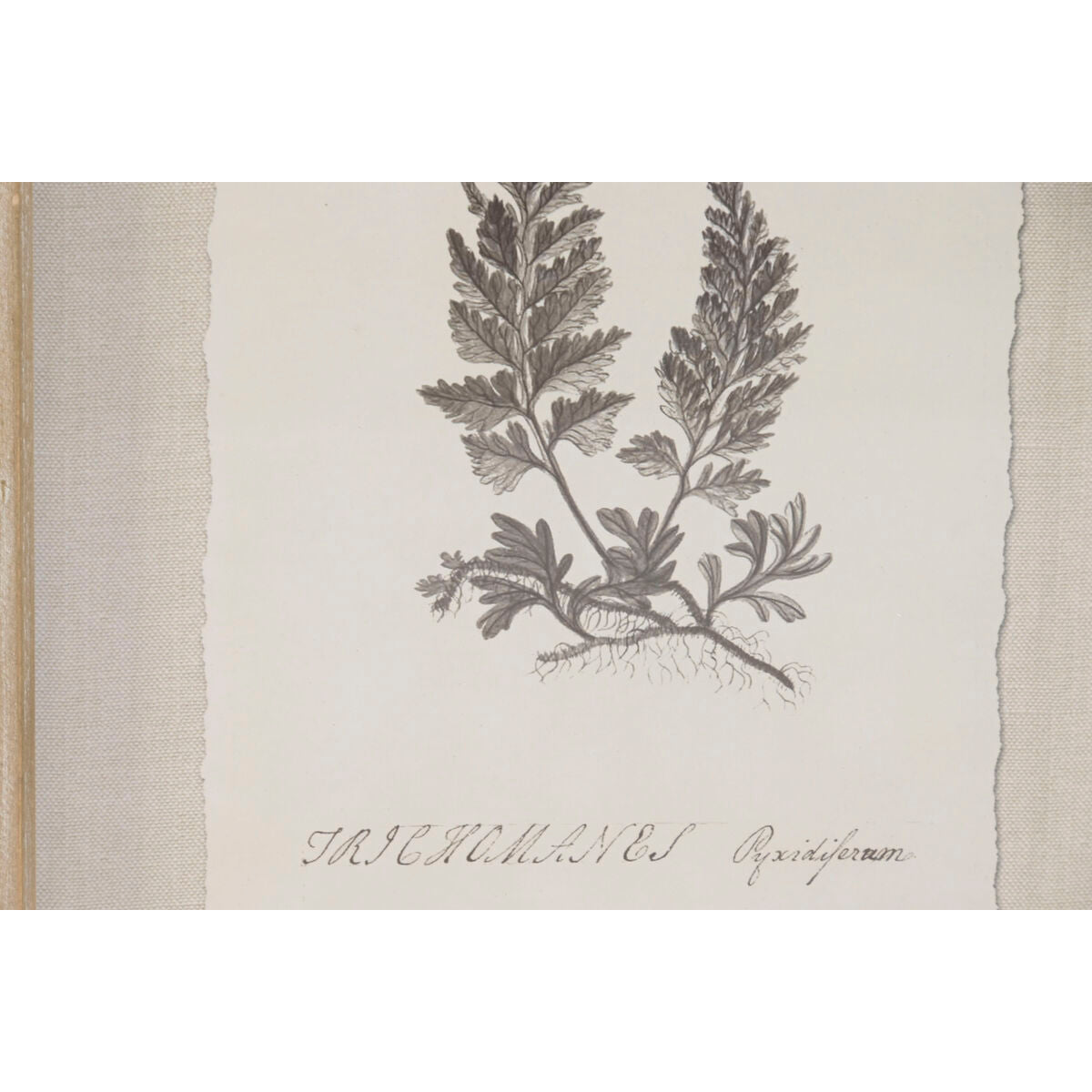 V2HD50A711DD2AF01BEE72040435CFD4CE6R7430172P3