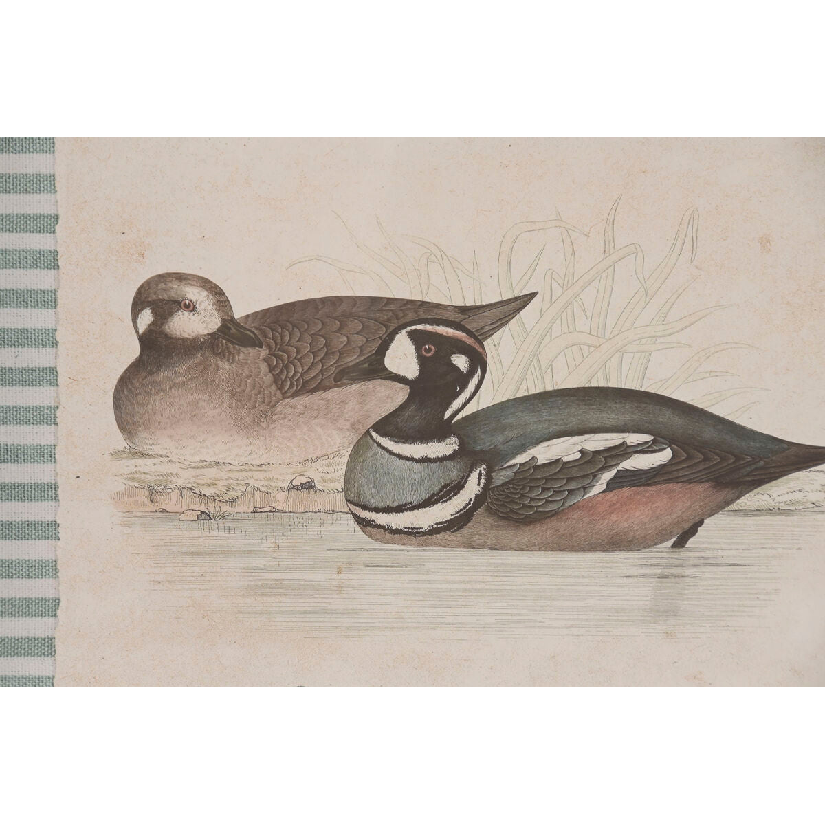 V1H1D9511DABD9C0DE64EEA1153A76F5379RP3