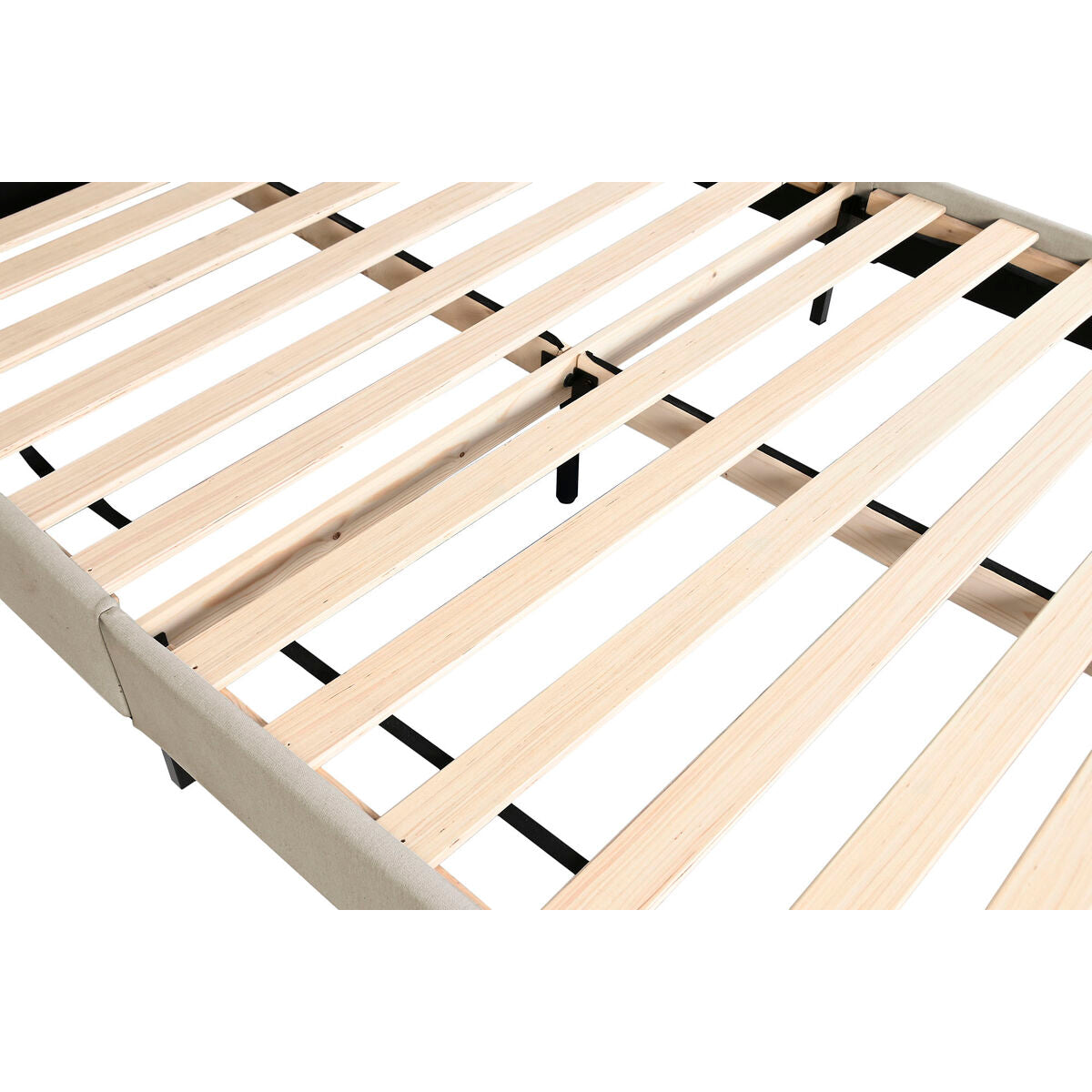 V1H7B0499DBE91FE490B5689004BF65BA94RP7