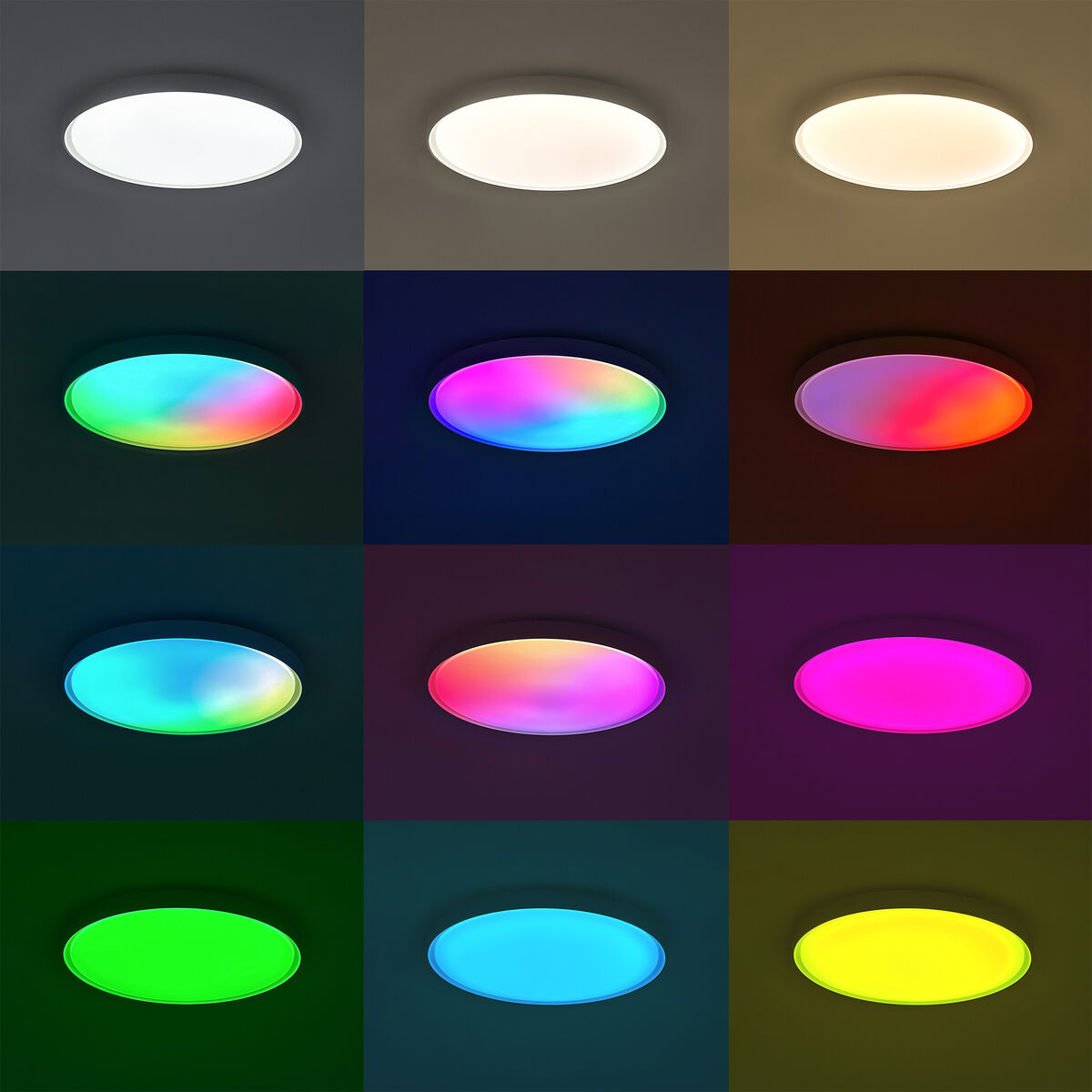 V1H65B311020B94CC5E233C7D55A4279D6BRP7