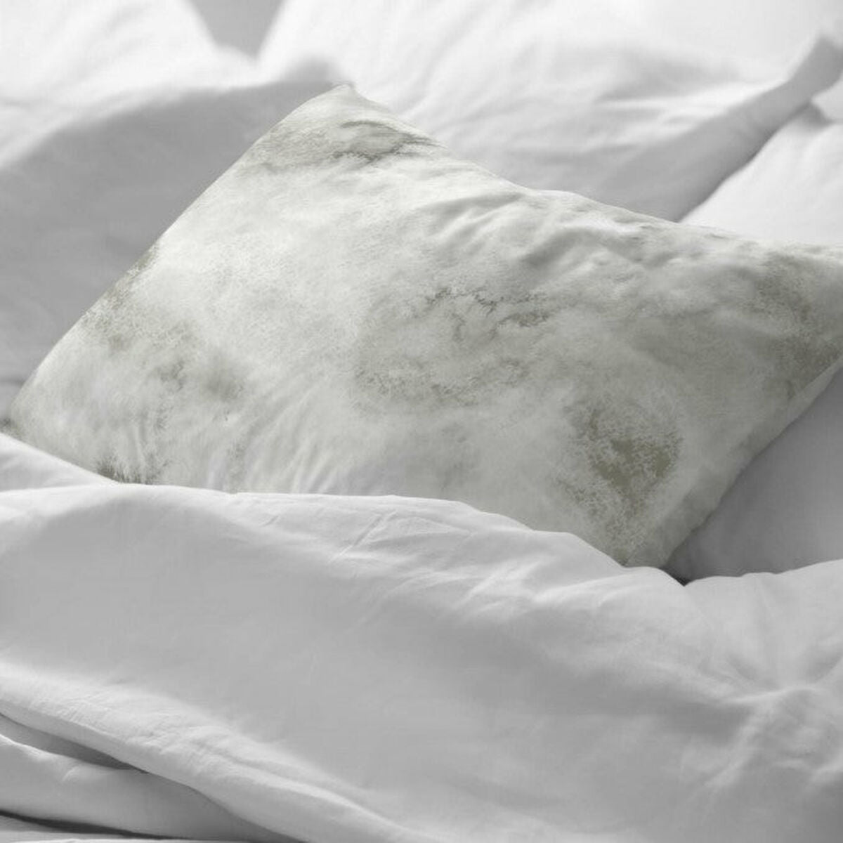 V2HACFDDAA3E1FB434D2F741F1C694B8561R4500813P2