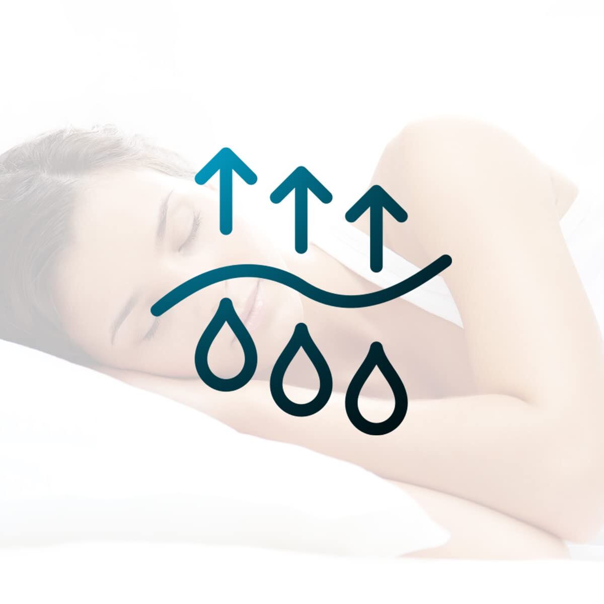 Kudden Cecotec Flow PureComfort Vit finns hos Nordekko