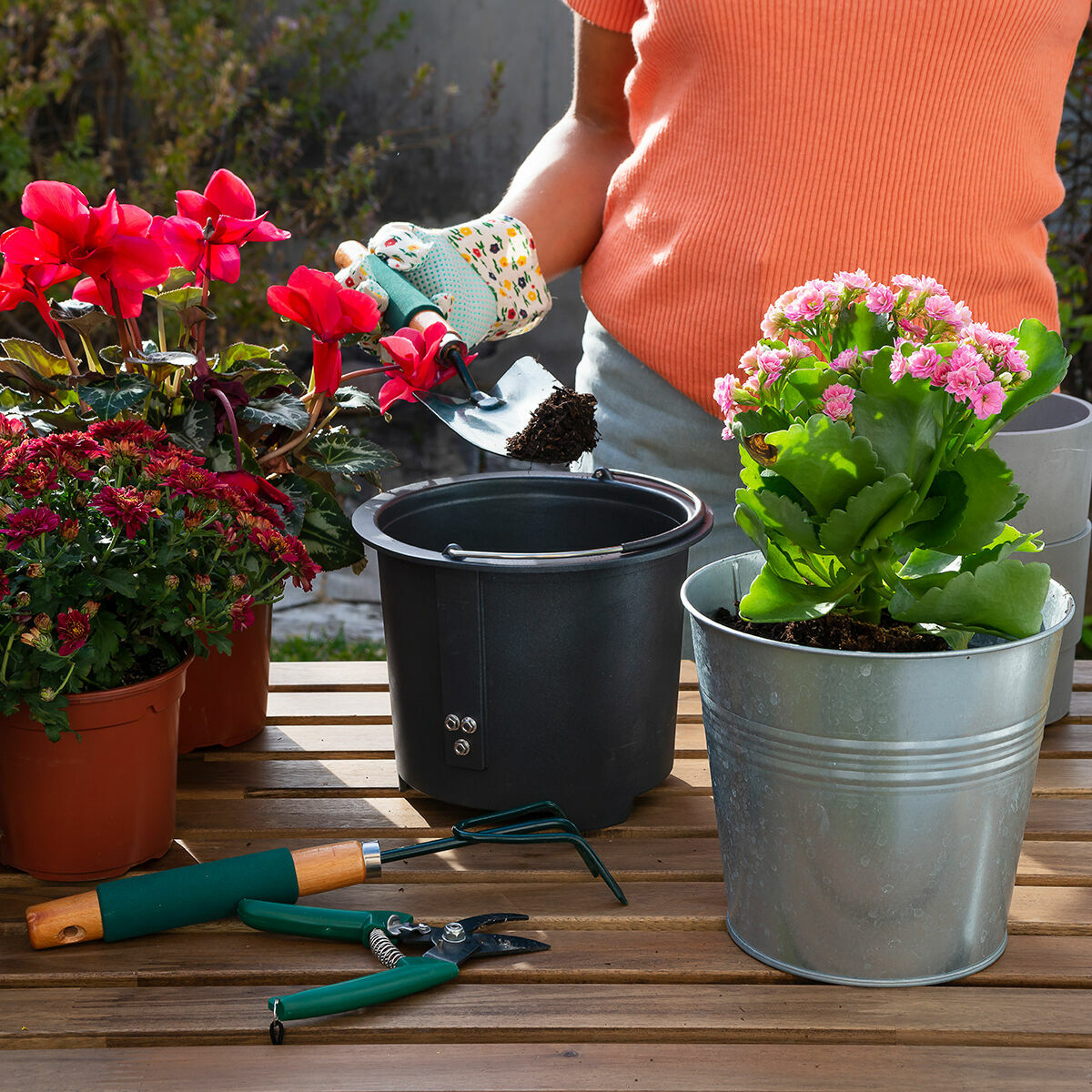 V6HAB61D76305F8B2072FC7AF381BC78C9ER5279562P2