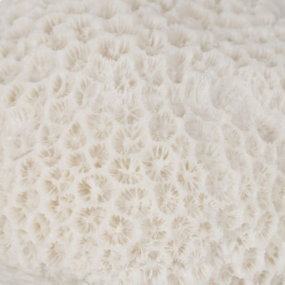 V2H1A68BA77C5B99C7A0039DD2450AF9150R5352847P4